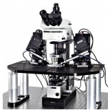 Оптический микроскоп Scientifica SliceScope Pro 2000