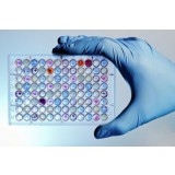 Микропластина для PCR QLoci™