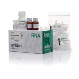 Набор RiboPure RNA Purification Ki, Thermo FS, AM1924, 50 выделений