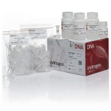 Набор PureLink Quick Gel Extraction Kit, Thermo FS, K210025, 250 выделений