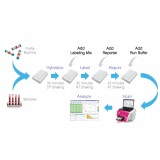 Панель для профилирования ми-РНК, Multiplex miRNA Assay Prostate Cancer Panel - Cellular, Abcam, ab204061, 96 тестов