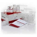 Набор PureLink RNA Micro Scale Kit, Thermo FS, 12183016, 50 выделений