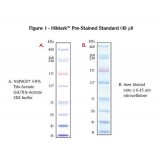 Маркеры белковые молекулярного веса, предокрашенные, HiMark, 30-460 кДа, Thermo FS, LC5699, 250 мкл