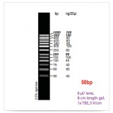 Маркер длин ДНК GeneRuler 50 bp, 13 фрагментов от 50 до 1000 п.н., 0,5 мкг/мкл, Thermo FS, SM0378пробник, 5 реакций