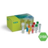 Набор для ОТ-количественной ПЦР SingleShot SYBR Green Kit, Bio-Rad, 1725085, 100x50 мкл реакций