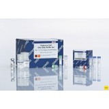 Набор FastLane Cell Probe Kit 200, Qiagen, 216413, 200 реакций