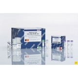 Набор FastLane Cell SYBR Green Kit 200, Qiagen, 216213, 200 реакций