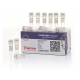 Набор для безлигазного клонирования aLICator LIC Cloning and Expression Set 2, Thermo FS, K1291, 30 реакций