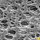 Фильтр, Экспресс, d пор 0,45 мкм, d мембраны 25 мм, 100 шт., Merck (Millipore), HPWP02500