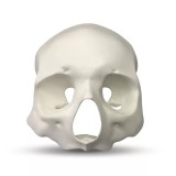 E51 модель верхней челюсти, скул и лобной кости для практики скуловых имплантов