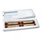 Spofadent Plus (В1) 1/32-0/2-1/74