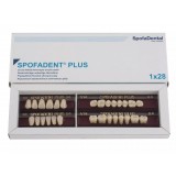 Spofadent Plus (D4) 53-53-1/74