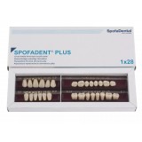 Spofadent Plus (С2) 53-53-1/74