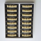 Зубы акриловые 3х слойные Kaifeng (гарнитур 28 зубов) HUGE DENTAL (S5A3.5)