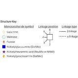 AdvanceBio 2-AB G2FS1 α(2,6) / FA2G2S(6)1 N-гликановый стандарт (ранее ProZyme)