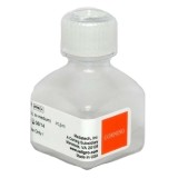 Раствор селективного антибиотика G418, 50 мг/мл(100 мл)