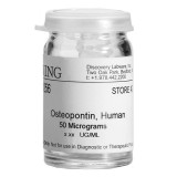 Остеопонтин человека CORNING®(50 мкг)