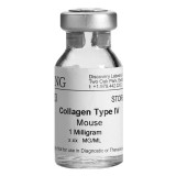 Коллаген IV мыши, BIOCOAT™ CORNING®(10х1 мг)