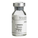 Ламинин мыши CORNING®(1 мг)