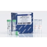 Мастер-микс QuantiTect SYBR Green PCR Kit(200 реакций)